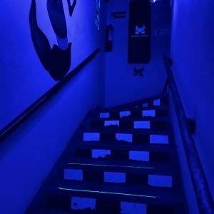 Black-White-Instalaciones (3)